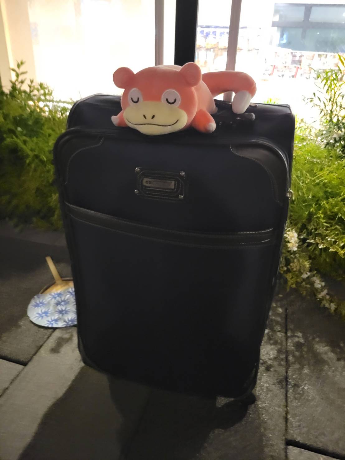 【日比谷公園】モルックを通じて友達づくり【午後の部】（初心者歓迎　東京20代〜30代限定の社会人サークル）