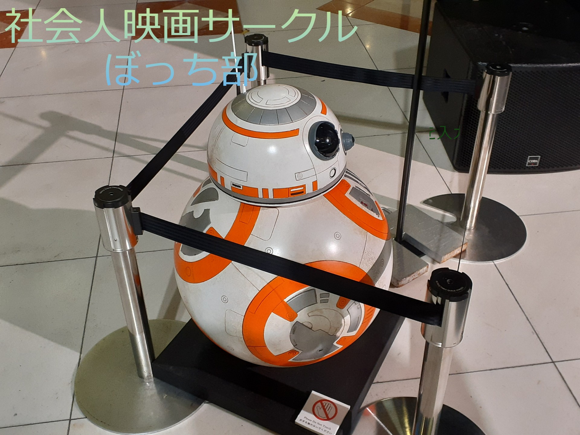 社会人映画ぼっち部(初参加歓迎_20~30代)