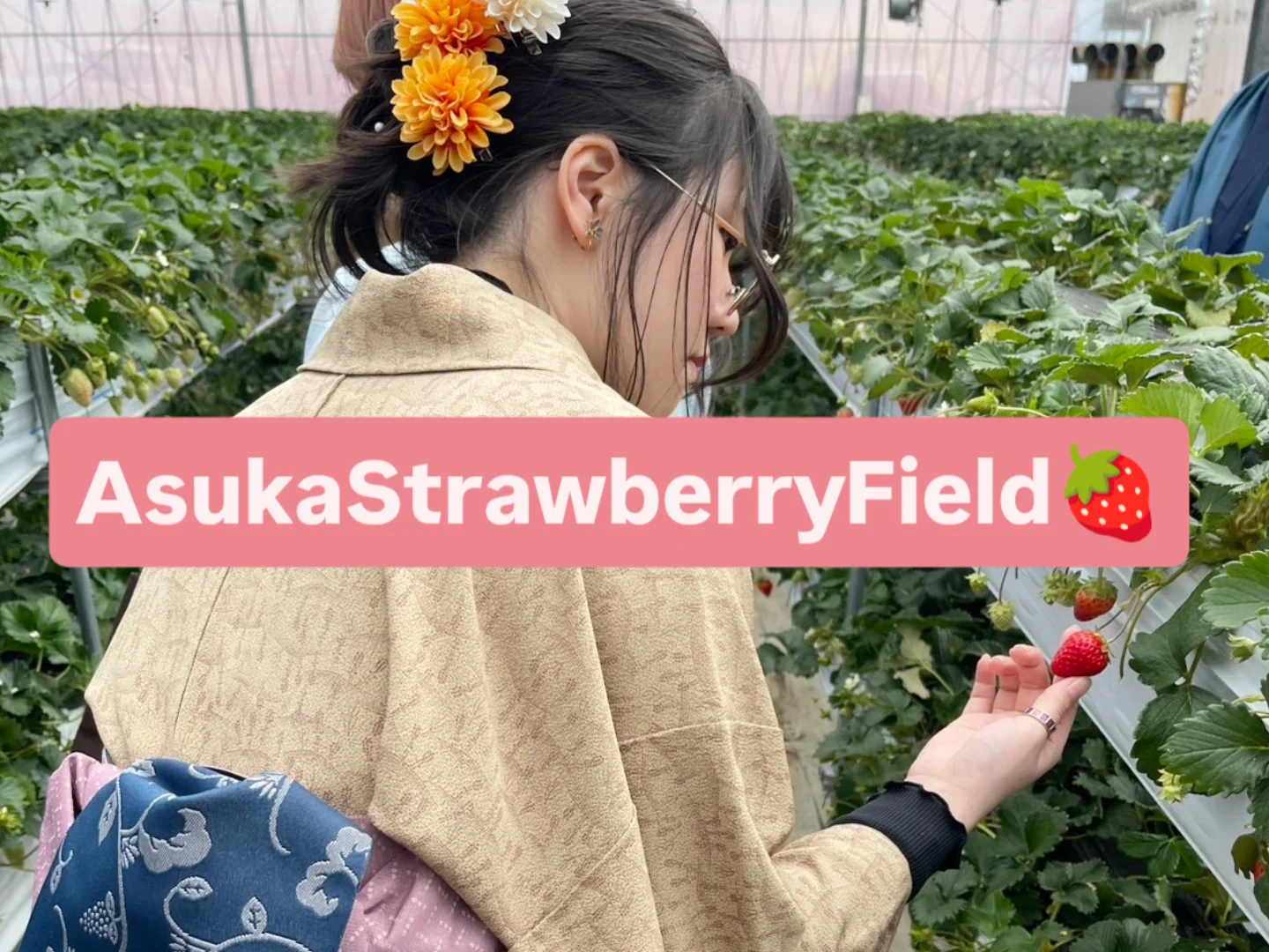 きものでいちご狩り🍓