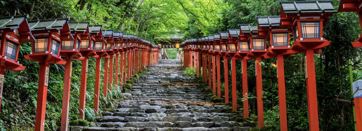 5/3 貴船神社青もみじライトアップ撮影会