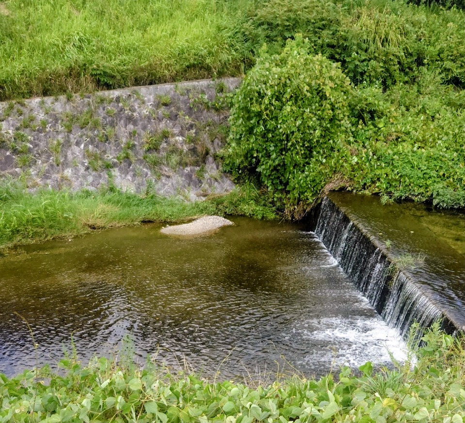 今日フォトウォークします　梅田