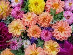 埼玉県さいたま市　社会人サークルみなみ　恋活　婚活　友活　飲み会