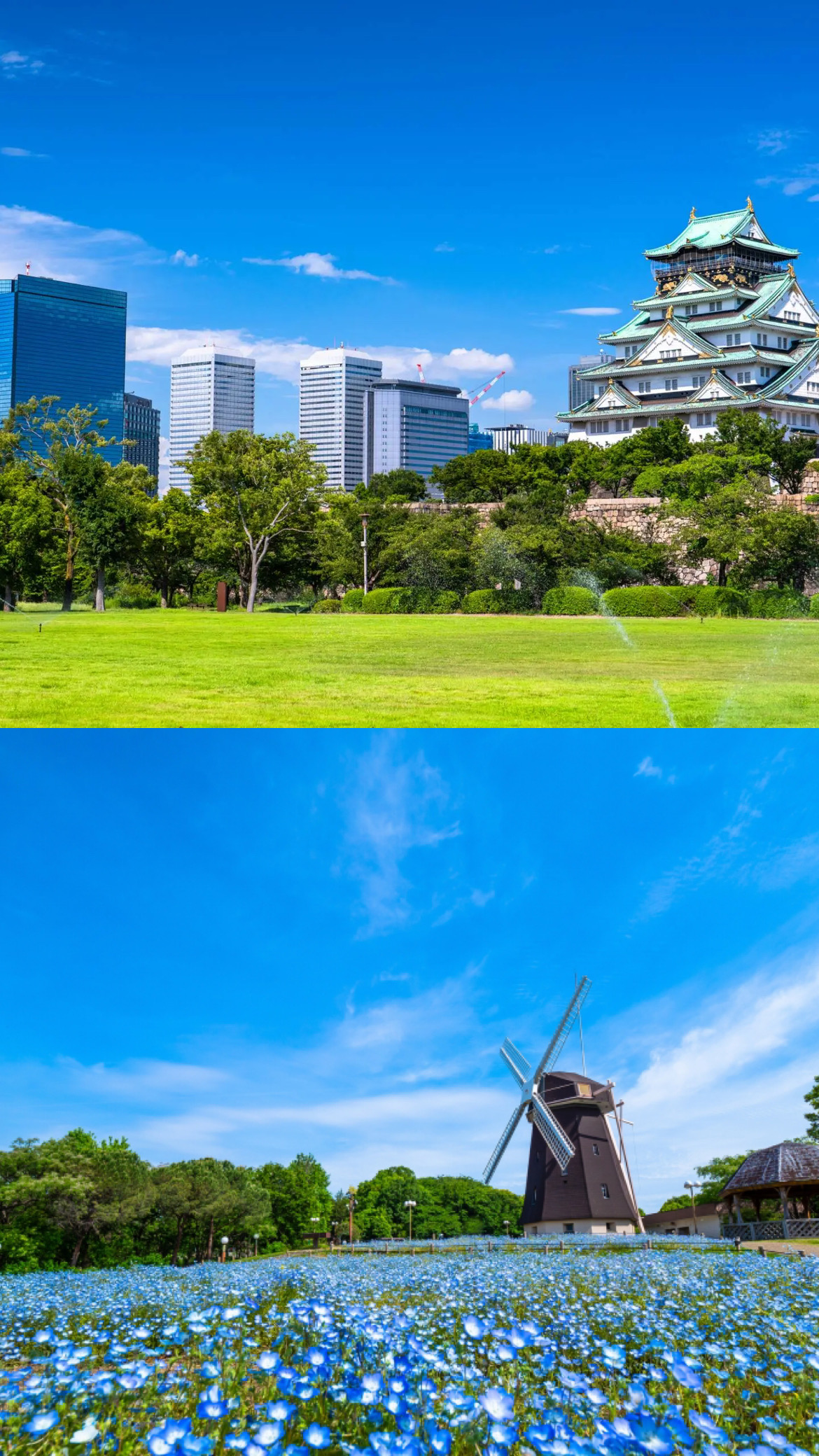 大型企画〜鶴見緑地公園・大阪城公園撮影会〜