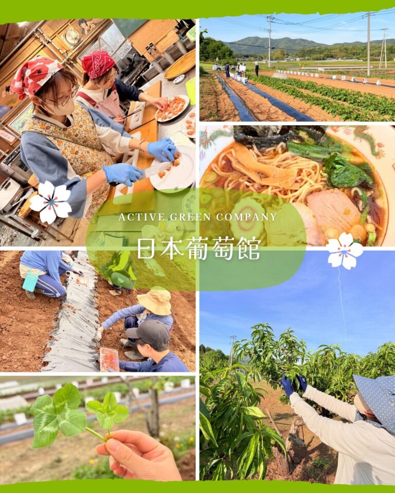 5/30(土)〜31(日) 農業体験・料理体験 自然の中で過ごす週末